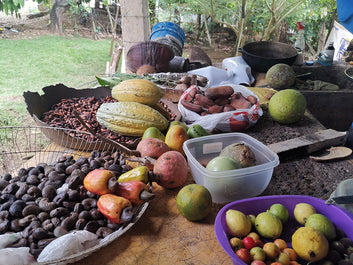 Sabores de Santo Domingo Rural: Aventura Gastronómica en el Higuero