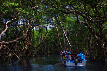 Descubre la Costa Verde: Naturaleza y cultura de Río San Juan